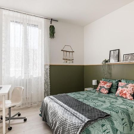 Superbe Appartement Cosy Avec Terrasse Saint-Etienne  Exteriör bild